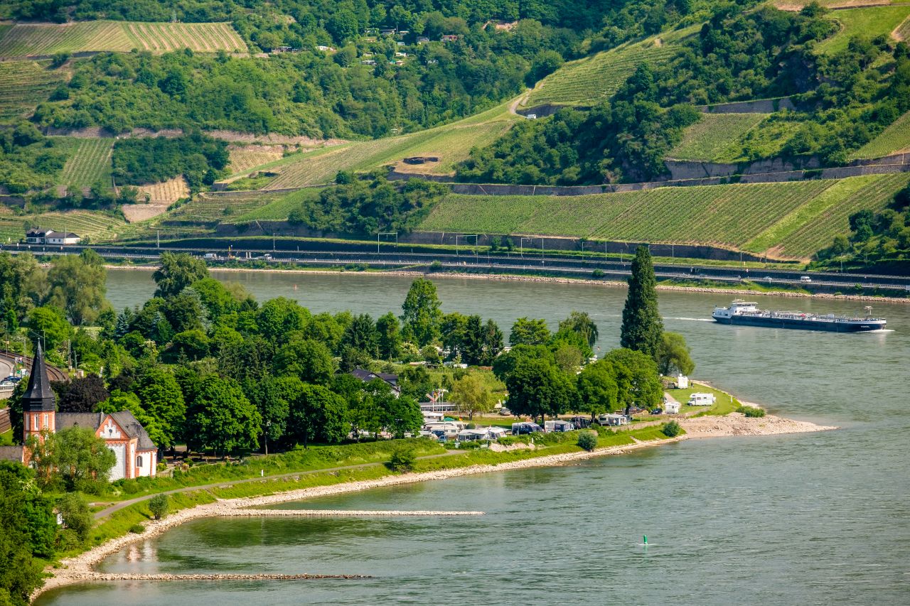 rhine vineyards
