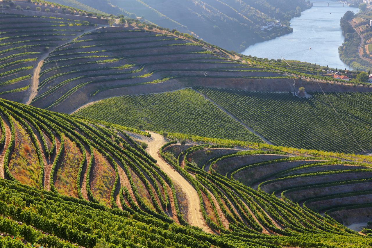 Douro Valley