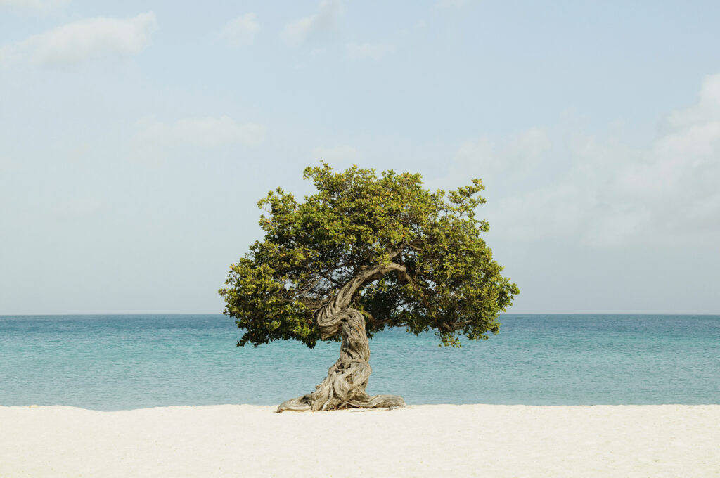 How to Plan Your Aruba Itinerary Like a Travel Advisor 