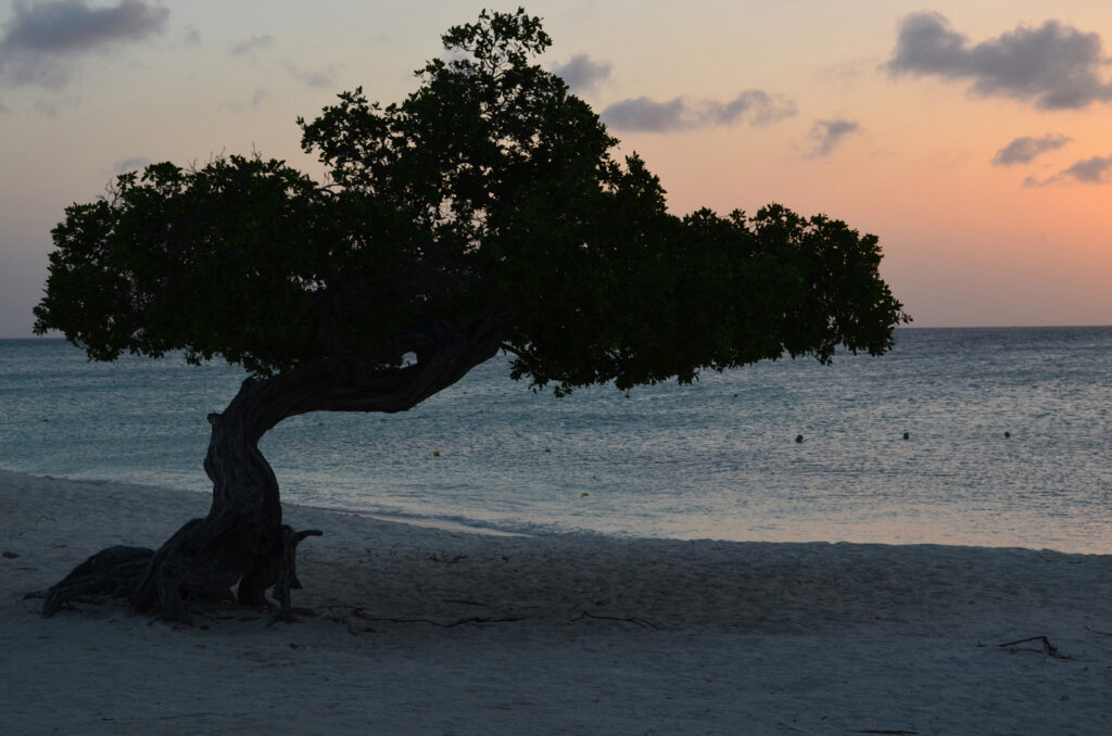 How to Plan Your Aruba Itinerary Like a Travel Advisor