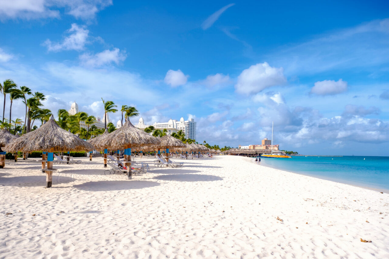 Palm Beach in Aruba with tall palm trees, white sand, and calm turquoise Caribbean water under a bright blue sky
