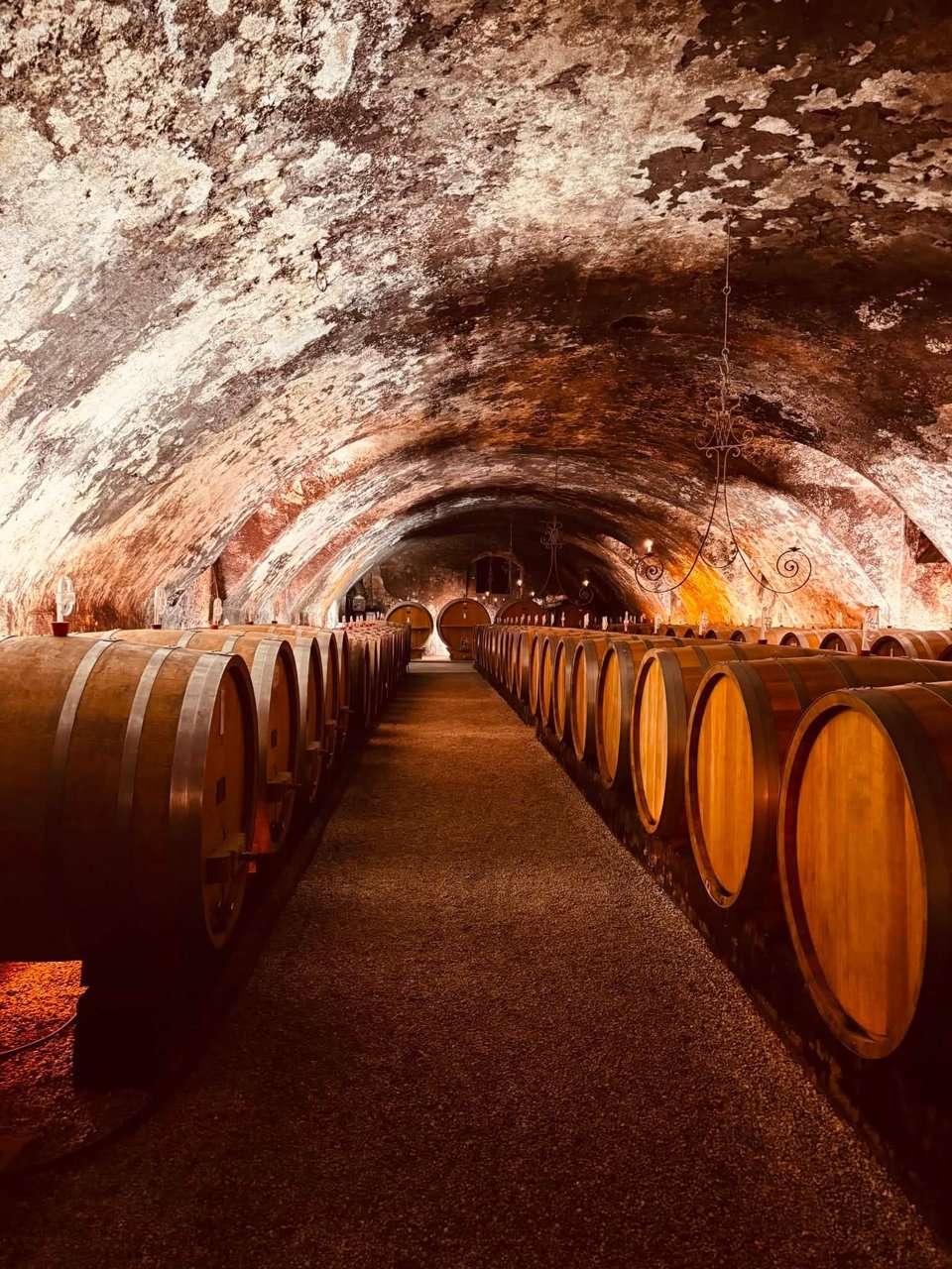 Oak barrels aging wine in the cellar of a historic Rhine Valley estate
