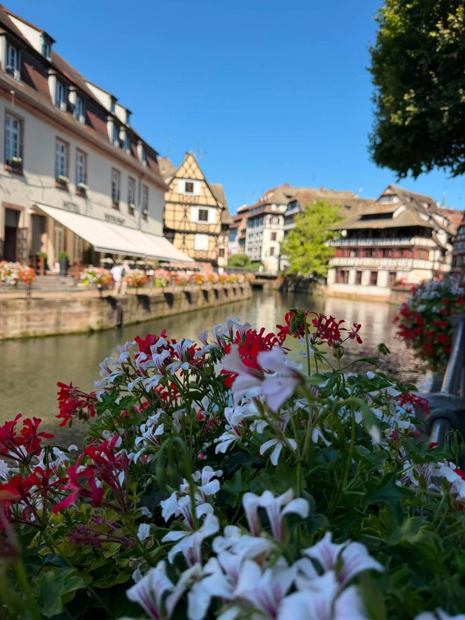 Flowers and half-timbered houses along a canal in Strasbourg's Petite France